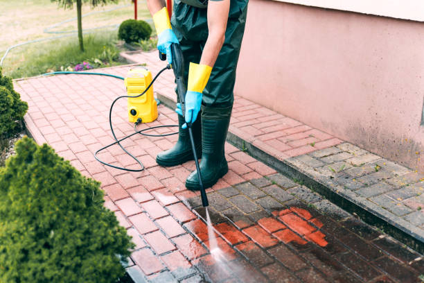 Best Roof Pressure Washing  in Belmond, IA