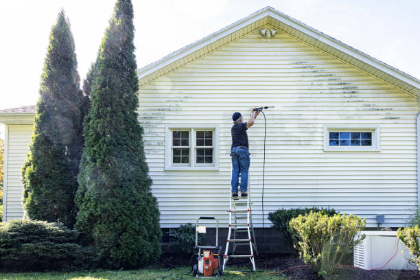 Best Fence Pressure Washing  in Belmond, IA